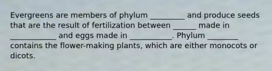 Evergreens are members of phylum _________ and produce seeds that are the result of fertilization between ______ made in ____________ and eggs made in ___________. Phylum ________ contains the flower-making plants, which are either monocots or dicots.