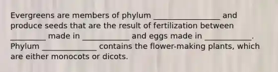 Evergreens are members of phylum _________________ and produce seeds that are the result of fertilization between _________ made in ____________ and eggs made in ____________. Phylum ______________ contains the flower-making plants, which are either monocots or dicots.