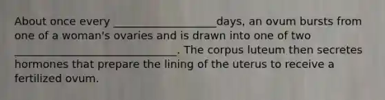 About once every ___________________days, an ovum bursts from one of a woman's ovaries and is drawn into one of two ______________________________. The corpus luteum then secretes hormones that prepare the lining of the uterus to receive a fertilized ovum.