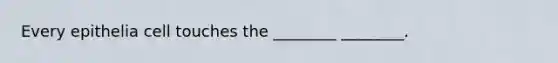 Every epithelia cell touches the ________ ________.