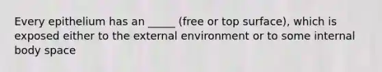 Every epithelium has an _____ (free or top surface), which is exposed either to the external environment or to some internal body space