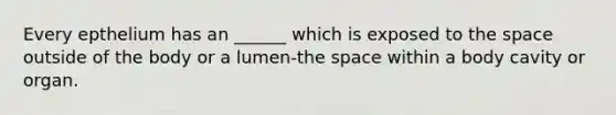 Every epthelium has an ______ which is exposed to the space outside of the body or a lumen-the space within a body cavity or organ.