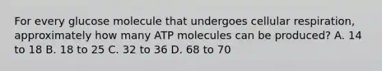 For every glucose molecule that undergoes cellular respiration, approximately how many ATP molecules can be produced? A. 14 to 18 B. 18 to 25 C. 32 to 36 D. 68 to 70