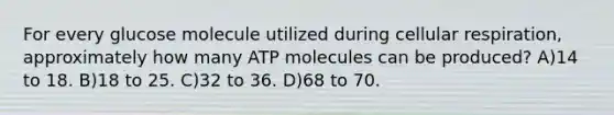 For every glucose molecule utilized during cellular respiration, approximately how many ATP molecules can be produced? A)14 to 18. B)18 to 25. C)32 to 36. D)68 to 70.