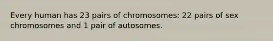 Every human has 23 pairs of chromosomes: 22 pairs of sex chromosomes and 1 pair of autosomes.