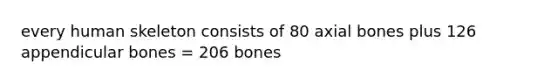 every human skeleton consists of 80 axial bones plus 126 appendicular bones = 206 bones