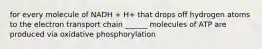 for every molecule of NADH + H+ that drops off hydrogen atoms to the electron transport chain ______ molecules of ATP are produced via oxidative phosphorylation