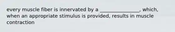 every muscle fiber is innervated by a ________________, which, when an appropriate stimulus is provided, results in muscle contraction