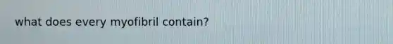 what does every myofibril contain?