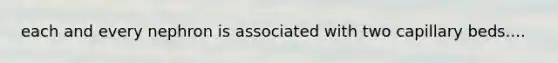 each and every nephron is associated with two capillary beds....