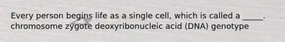 Every person begins life as a single cell, which is called a _____. chromosome zygote deoxyribonucleic acid (DNA) genotype