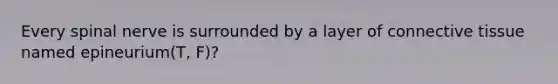 Every spinal nerve is surrounded by a layer of connective tissue named epineurium(T, F)?
