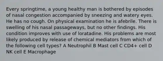 Every springtime, a young healthy man is bothered by episodes of nasal congestion accompanied by sneezing and watery eyes. He has no cough. On physical examination he is afebrile. There is swelling of his nasal passageways, but no other findings. His condition improves with use of loratadine. His problems are most likely produced by release of chemical mediators from which of the following cell types? A Neutrophil B Mast cell C CD4+ cell D NK cell E Macrophage