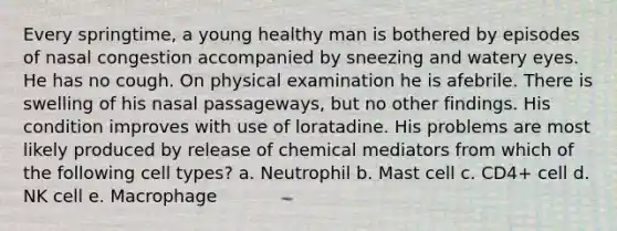 Every springtime, a young healthy man is bothered by episodes of nasal congestion accompanied by sneezing and watery eyes. He has no cough. On physical examination he is afebrile. There is swelling of his nasal passageways, but no other findings. His condition improves with use of loratadine. His problems are most likely produced by release of chemical mediators from which of the following cell types? a. Neutrophil b. Mast cell c. CD4+ cell d. NK cell e. Macrophage