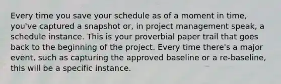 Every time you save your schedule as of a moment in time, you've captured a snapshot or, in project management speak, a schedule instance. This is your proverbial paper trail that goes back to the beginning of the project. Every time there's a major event, such as capturing the approved baseline or a re-baseline, this will be a specific instance.