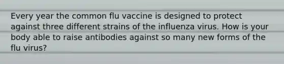 Every year the common flu vaccine is designed to protect against three different strains of the influenza virus. How is your body able to raise antibodies against so many new forms of the flu virus?