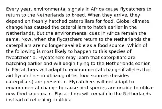 Every year, environmental signals in Africa cause flycatchers to return to the Netherlands to breed. When they arrive, they depend on freshly hatched caterpillars for food. Global climate change has caused the caterpillars to hatch earlier in the Netherlands, but the environmental cues in Africa remain the same. Now, when the flycatchers return to the Netherlands the caterpillars are no longer available as a food source. Which of the following is most likely to happen to this species of flycatcher? a. Flycatchers may learn that caterpillars are hatching earlier and will begin flying to the Netherlands earlier. b. Flycatchers will adapt to environmental change if alleles that aid flycatchers in utilizing other food sources (besides caterpillars) are present. c. Flycatchers will not adapt to environmental change because bird species are unable to utilize new food sources. d. Flycatchers will remain in the Netherlands instead of returning to Africa.