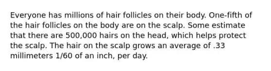 Everyone has millions of hair follicles on their body. One-fifth of the hair follicles on the body are on the scalp. Some estimate that there are 500,000 hairs on the head, which helps protect the scalp. The hair on the scalp grows an average of .33 millimeters 1/60 of an inch, per day.