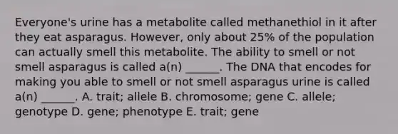 Everyone's urine has a metabolite called methanethiol in it after they eat asparagus. However, only about 25% of the population can actually smell this metabolite. The ability to smell or not smell asparagus is called a(n) ______. The DNA that encodes for making you able to smell or not smell asparagus urine is called a(n) ______. A. trait; allele B. chromosome; gene C. allele; genotype D. gene; phenotype E. trait; gene