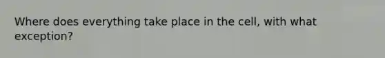 Where does everything take place in the cell, with what exception?