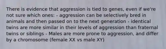 There is evidence that aggression is tied to genes, even if we're not sure which ones: - aggression can be selectively bred in animals and then passed on to the next generation - identical twins are more similar in their levels of aggression than fraternal twins or siblings - Males are more prone to aggression, and differ by a chromosome (female XX vs male XY)