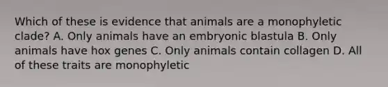 Which of these is evidence that animals are a monophyletic clade? A. Only animals have an embryonic blastula B. Only animals have hox genes C. Only animals contain collagen D. All of these traits are monophyletic