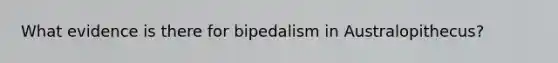 What evidence is there for bipedalism in Australopithecus?