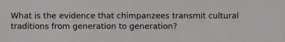 What is the evidence that chimpanzees transmit cultural traditions from generation to generation?