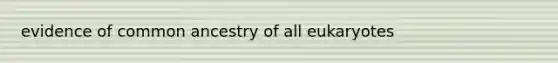 evidence of common ancestry of all eukaryotes