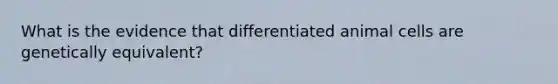 What is the evidence that differentiated animal cells are genetically equivalent?