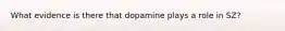 What evidence is there that dopamine plays a role in SZ?