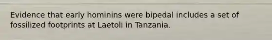 Evidence that early hominins were bipedal includes a set of fossilized footprints at Laetoli in Tanzania.