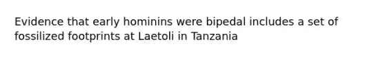 Evidence that early hominins were bipedal includes a set of fossilized footprints at Laetoli in Tanzania