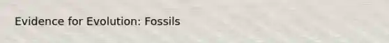 <a href='https://www.questionai.com/knowledge/kl4L0eHhUT-evidence-for-evolution' class='anchor-knowledge'>evidence for evolution</a>: Fossils
