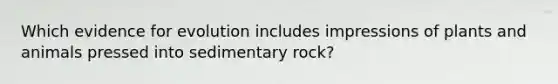 Which evidence for evolution includes impressions of plants and animals pressed into sedimentary rock?