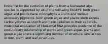 Evidence for the evolution of plants from a feshwater algal species is supported by all of the following EXCEPT: both green algae and plants have chlorophylls a and b and various accessory pigments. both green algae and plants store excess carbohydrates as starch and have cellulose in their cell walls. molecular evaluation of ribosomal RNA provides evidence of the evolutionary relationship of plants and green algae. plants and green algae share a significant number of structural similarities in root, stem, and leaf structures.