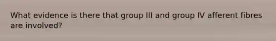 What evidence is there that group III and group IV afferent fibres are involved?