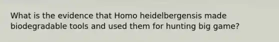 What is the evidence that Homo heidelbergensis made biodegradable tools and used them for hunting big game?