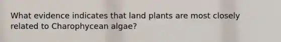 What evidence indicates that land plants are most closely related to Charophycean algae?