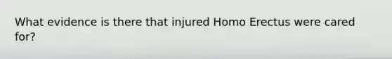 What evidence is there that injured Homo Erectus were cared for?