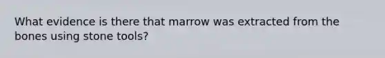 What evidence is there that marrow was extracted from the bones using stone tools?