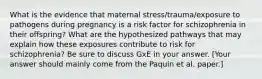 What is the evidence that maternal stress/trauma/exposure to pathogens during pregnancy is a risk factor for schizophrenia in their offspring? What are the hypothesized pathways that may explain how these exposures contribute to risk for schizophrenia? Be sure to discuss GxE in your answer. [Your answer should mainly come from the Paquin et al. paper.]