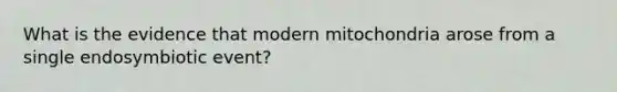 What is the evidence that modern mitochondria arose from a single endosymbiotic event?