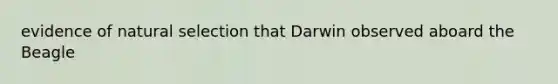 evidence of natural selection that Darwin observed aboard the Beagle