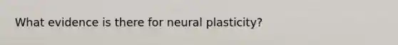 What evidence is there for neural plasticity?