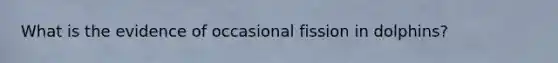 What is the evidence of occasional fission in dolphins?