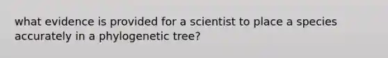 what evidence is provided for a scientist to place a species accurately in a phylogenetic tree?