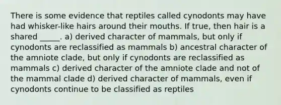 There is some evidence that reptiles called cynodonts may have had whisker-like hairs around their mouths. If true, then hair is a shared _____. a) derived character of mammals, but only if cynodonts are reclassified as mammals b) ancestral character of the amniote clade, but only if cynodonts are reclassified as mammals c) derived character of the amniote clade and not of the mammal clade d) derived character of mammals, even if cynodonts continue to be classified as reptiles