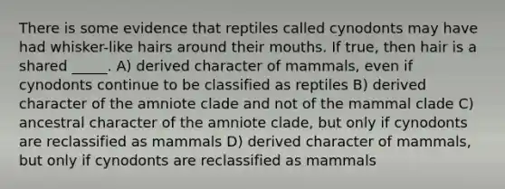 There is some evidence that reptiles called cynodonts may have had whisker-like hairs around their mouths. If true, then hair is a shared _____. A) derived character of mammals, even if cynodonts continue to be classified as reptiles B) derived character of the amniote clade and not of the mammal clade C) ancestral character of the amniote clade, but only if cynodonts are reclassified as mammals D) derived character of mammals, but only if cynodonts are reclassified as mammals