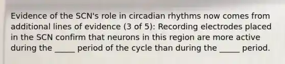 Evidence of the SCN's role in circadian rhythms now comes from additional lines of evidence (3 of 5): Recording electrodes placed in the SCN confirm that neurons in this region are more active during the _____ period of the cycle than during the _____ period.